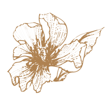 Cargar imagen en el visor de la galería, Modelo Luze: Flor de la vida